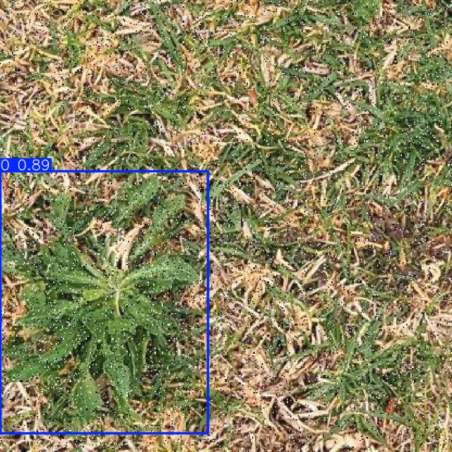 Annotated Image