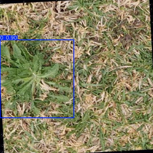 Annotated Image