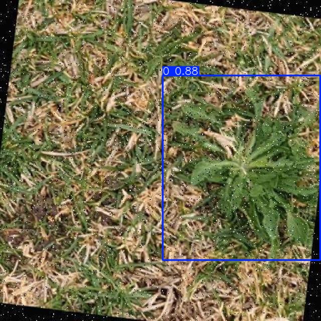 Annotated Image