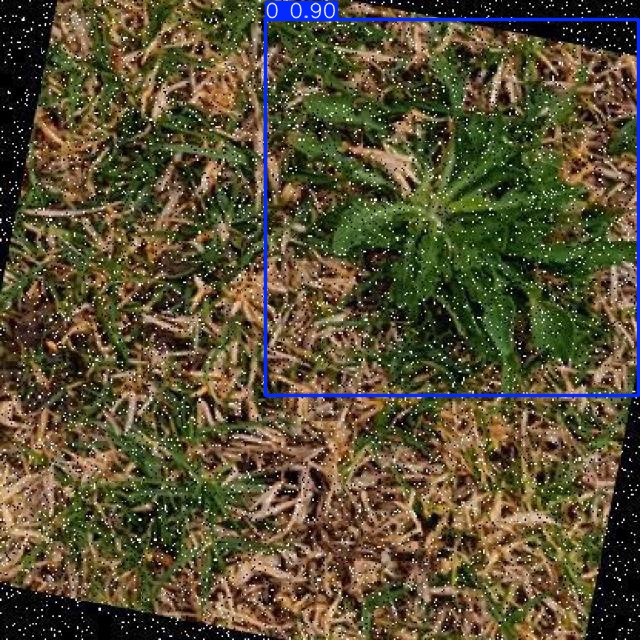 Annotated Image
