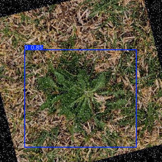 Annotated Image