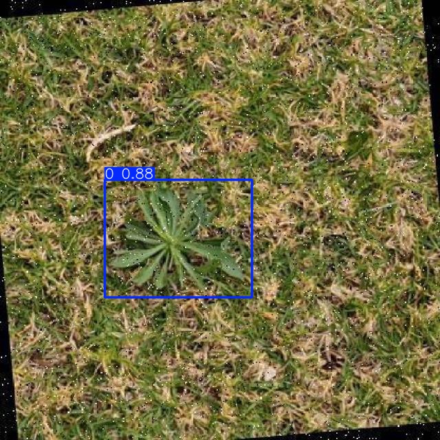 Annotated Image