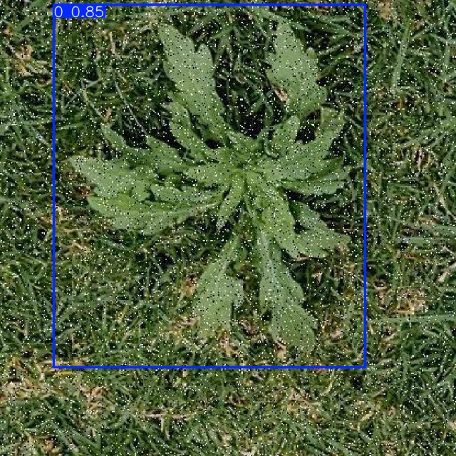 Annotated Image