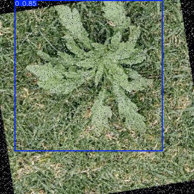 Annotated Image