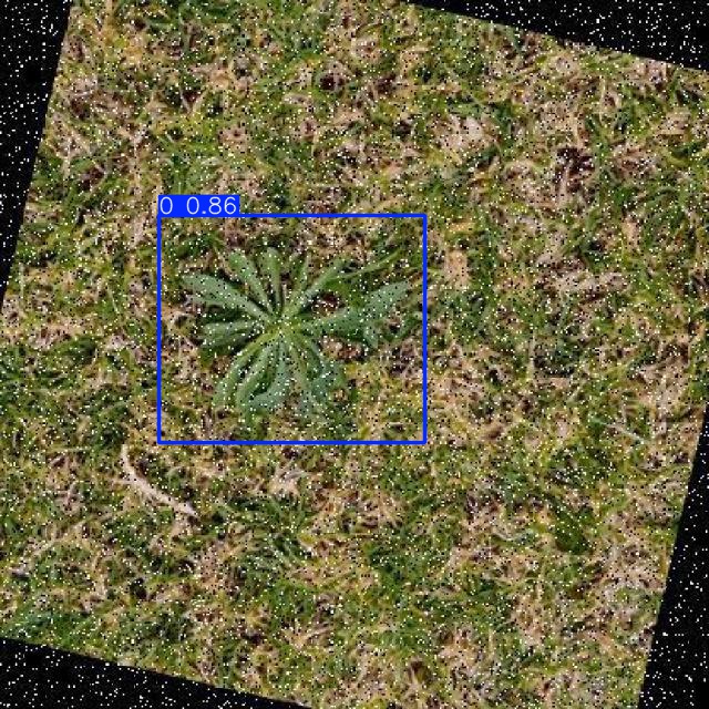 Annotated Image