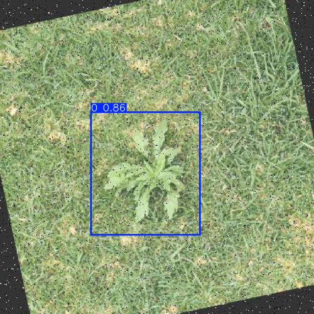 Annotated Image