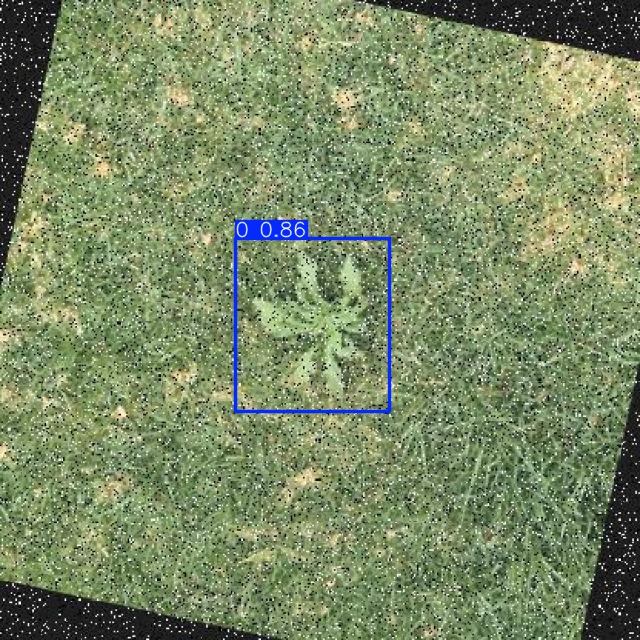 Annotated Image