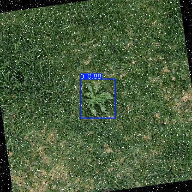 Annotated Image
