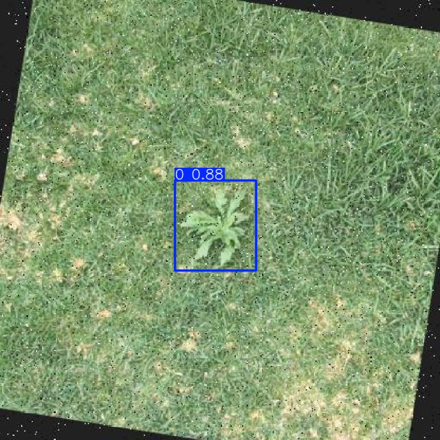 Annotated Image