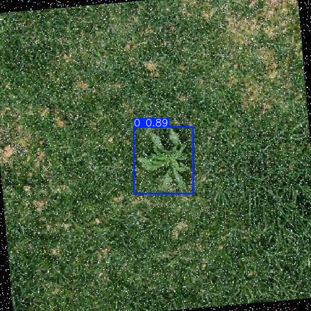 Annotated Image