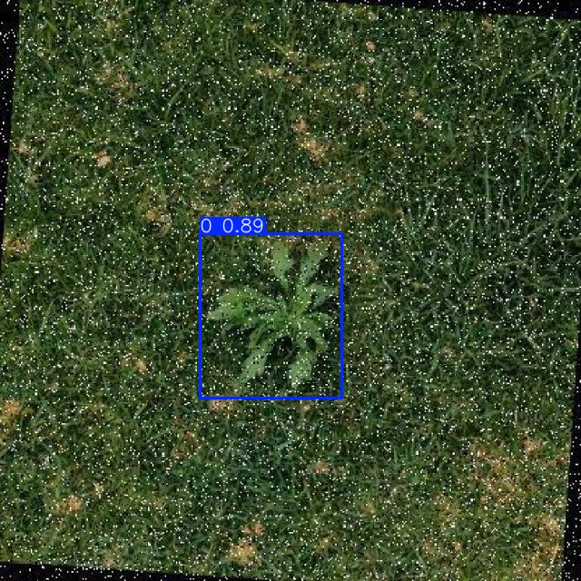Annotated Image