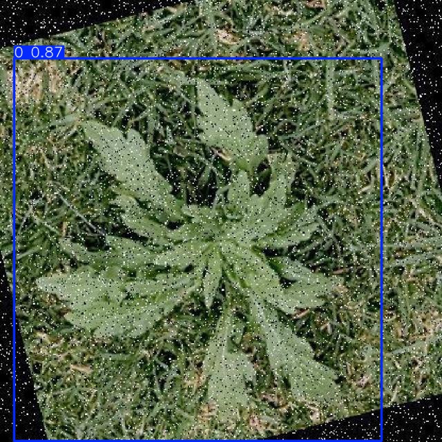 Annotated Image