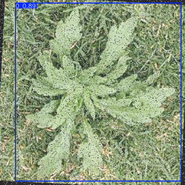 Annotated Image