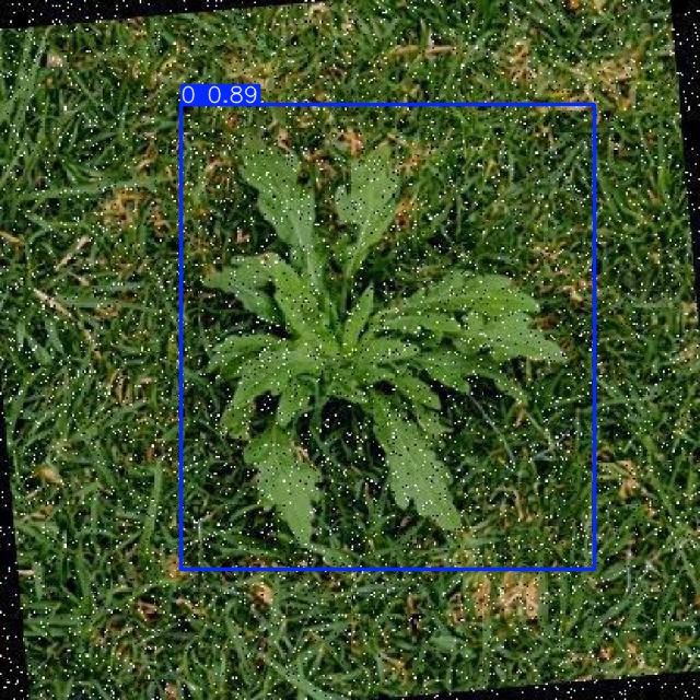Annotated Image