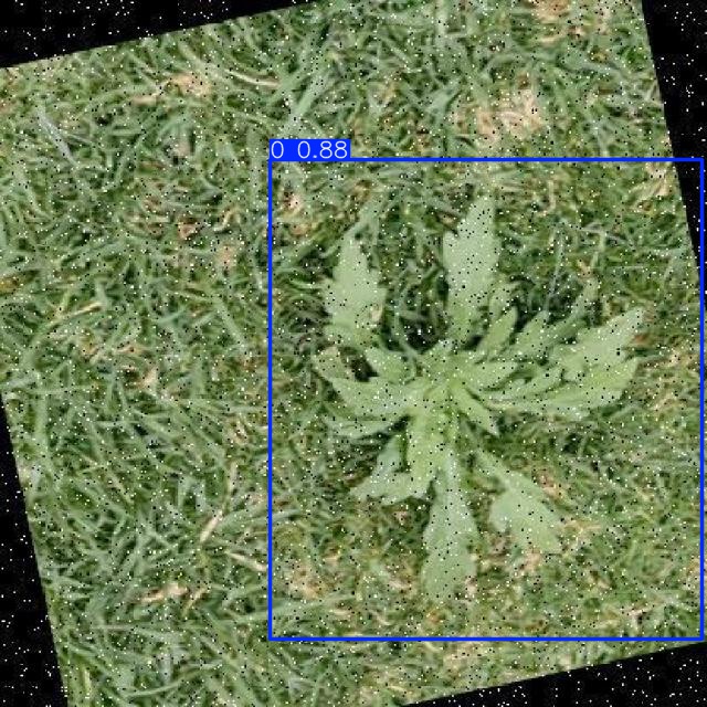 Annotated Image