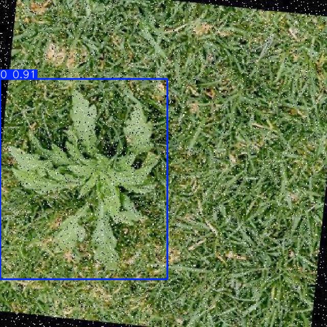 Annotated Image