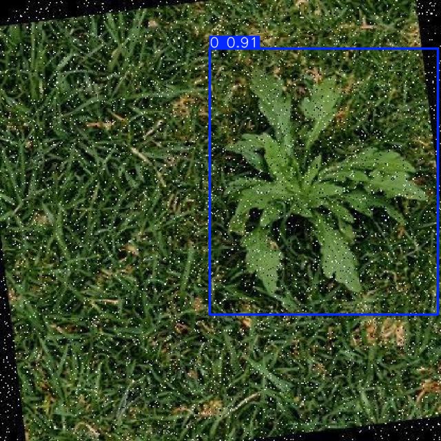 Annotated Image