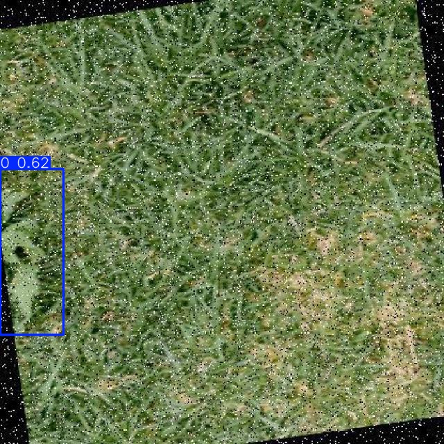 Annotated Image