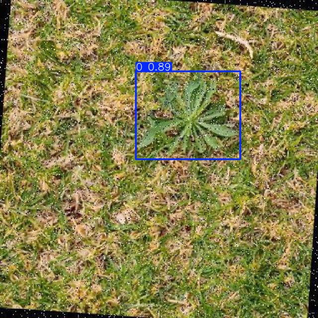 Annotated Image