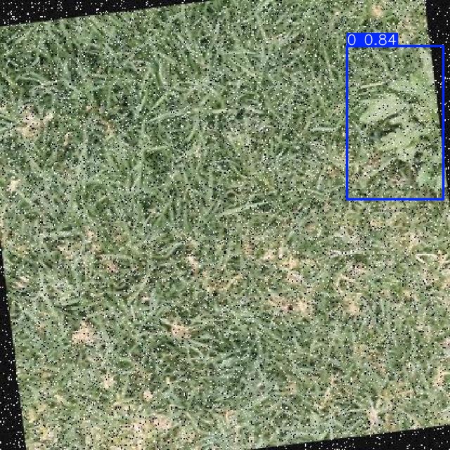 Annotated Image