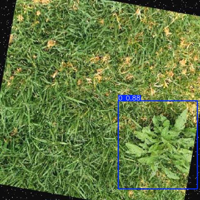 Annotated Image
