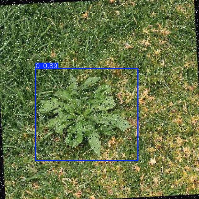 Annotated Image