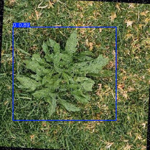 Annotated Image