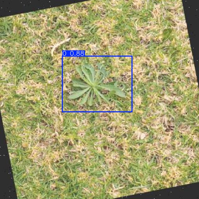 Annotated Image