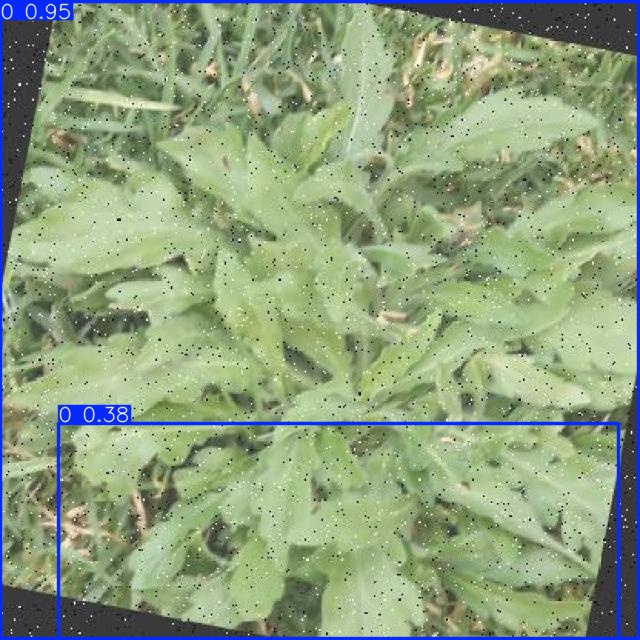 Annotated Image