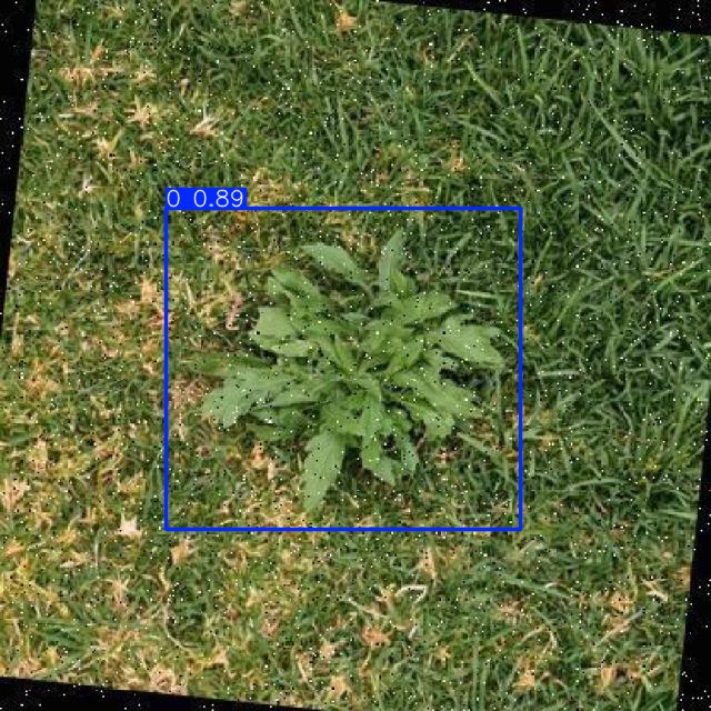 Annotated Image
