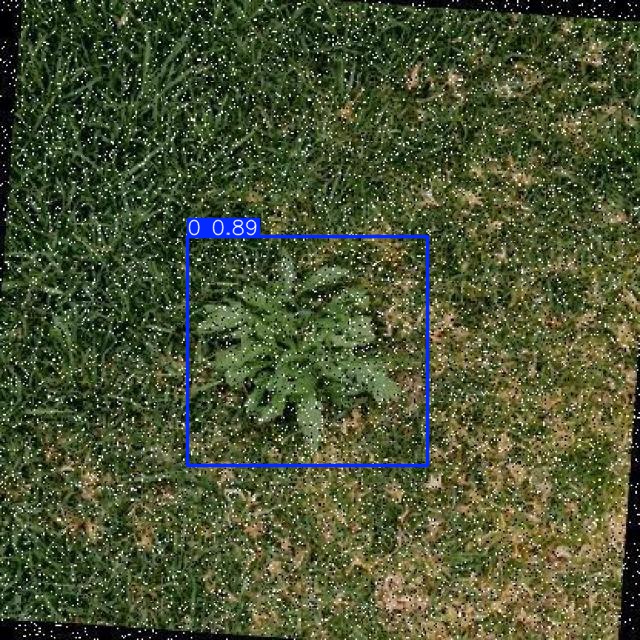 Annotated Image