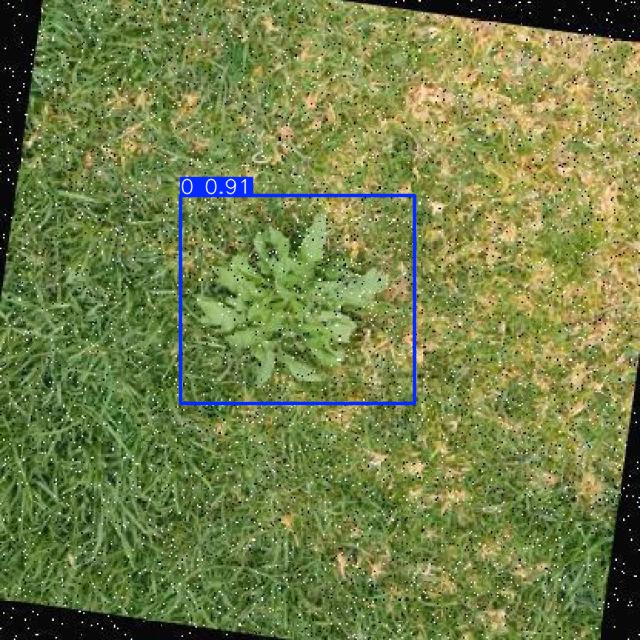 Annotated Image