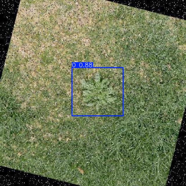 Annotated Image