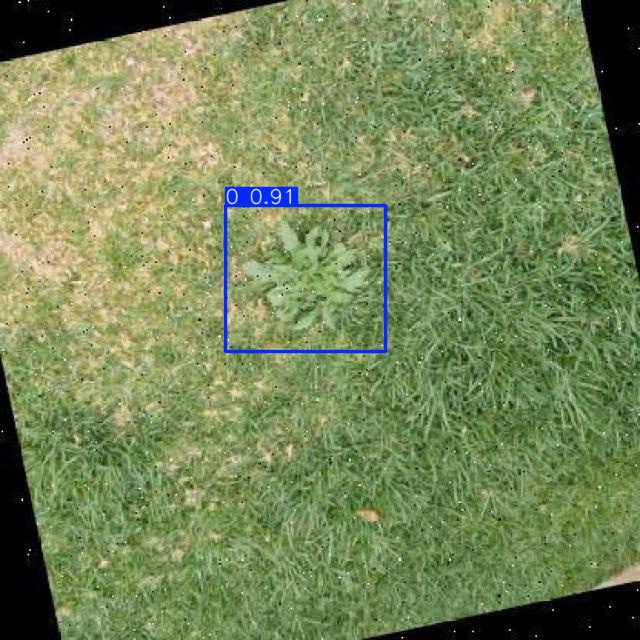 Annotated Image