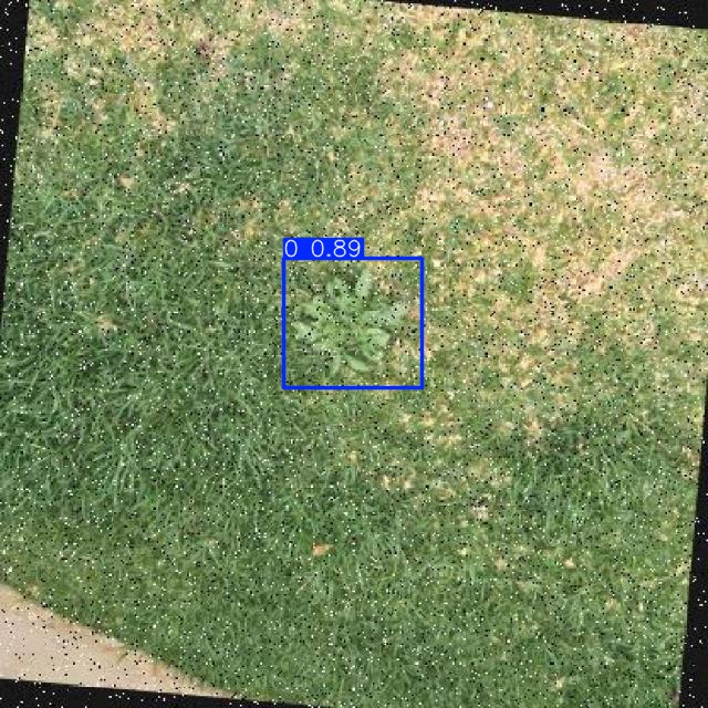 Annotated Image