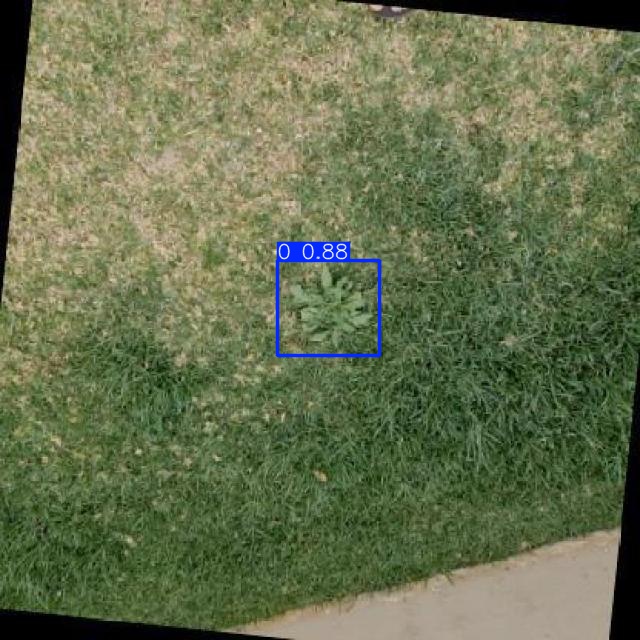 Annotated Image