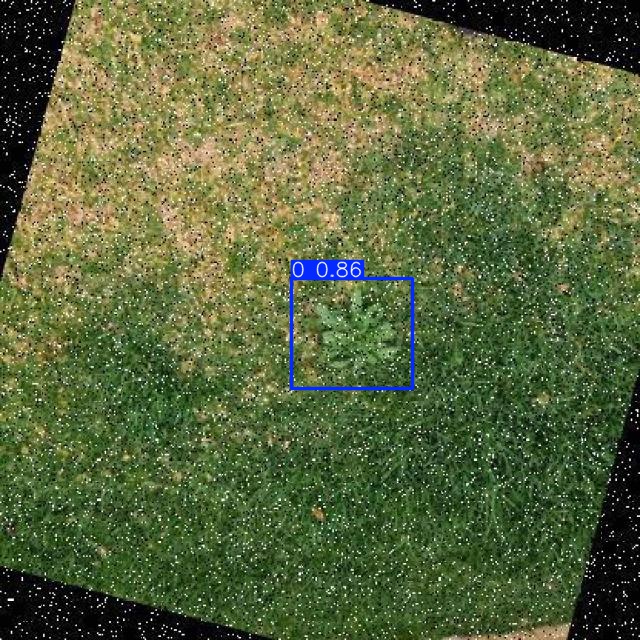 Annotated Image