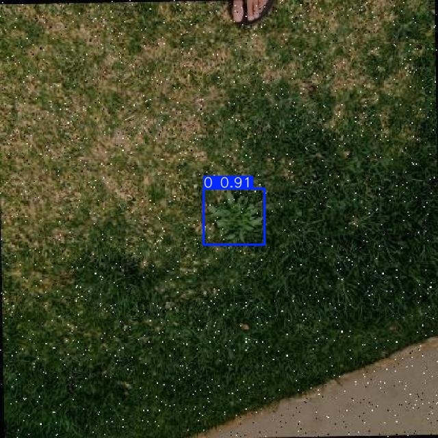Annotated Image