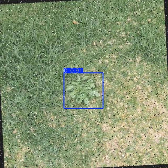 Annotated Image