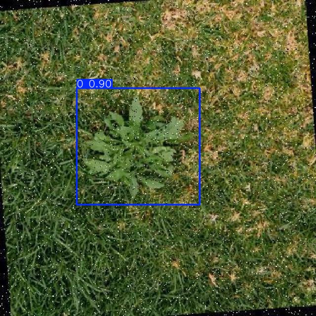 Annotated Image