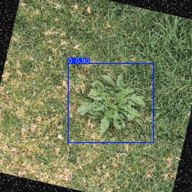 Annotated Image