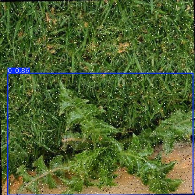 Annotated Image