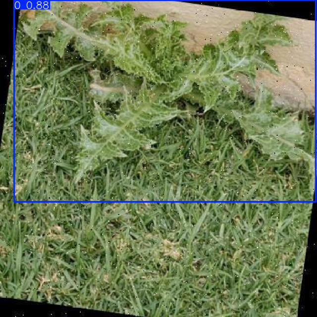 Annotated Image
