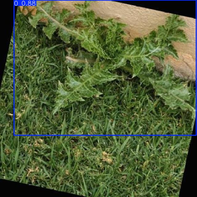 Annotated Image