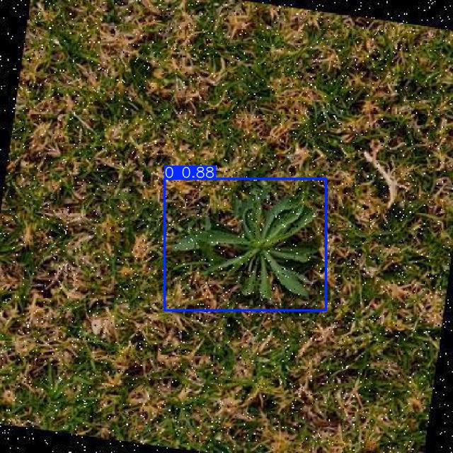 Annotated Image