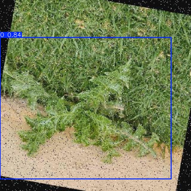Annotated Image