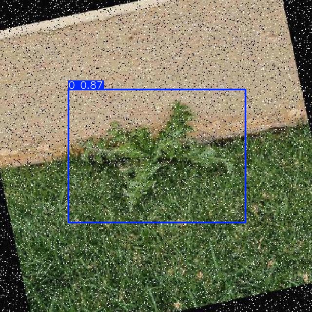 Annotated Image