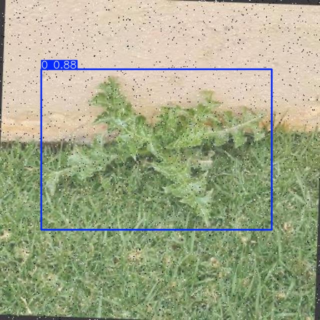 Annotated Image