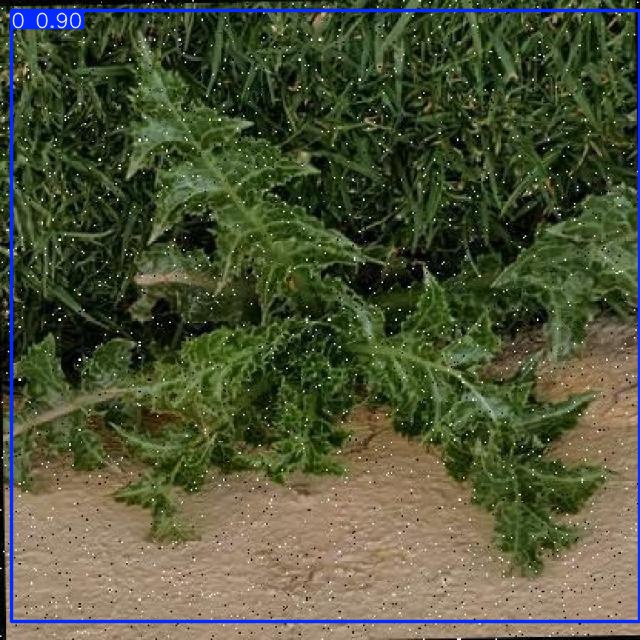 Annotated Image