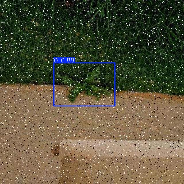 Annotated Image